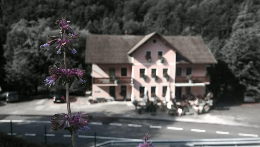 Okrepcevalnica Kurn'K Bed & Breakfast Cerkno Ngoại thất bức ảnh